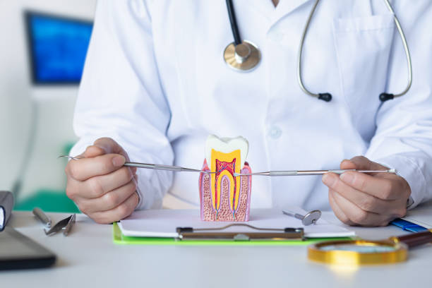 Best Emergency Dental Services for Seniors in Sebewaing, MI